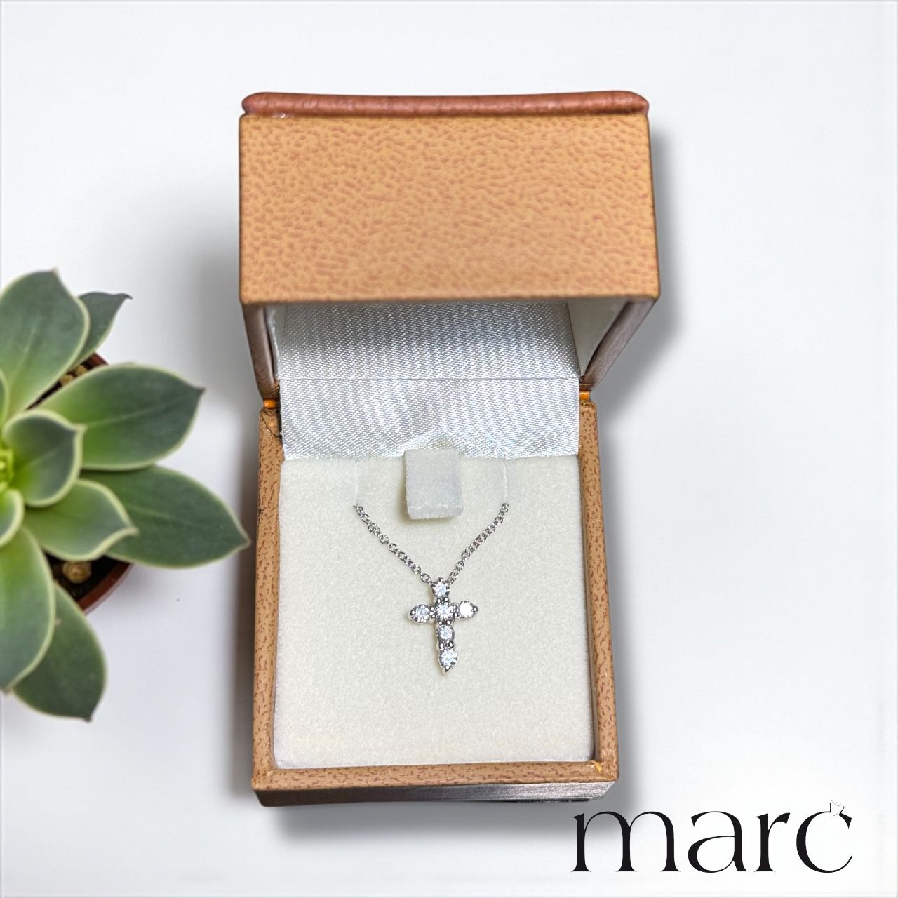 WhatsApp Image 2026-02-12 at 12.53.43 PM (1)