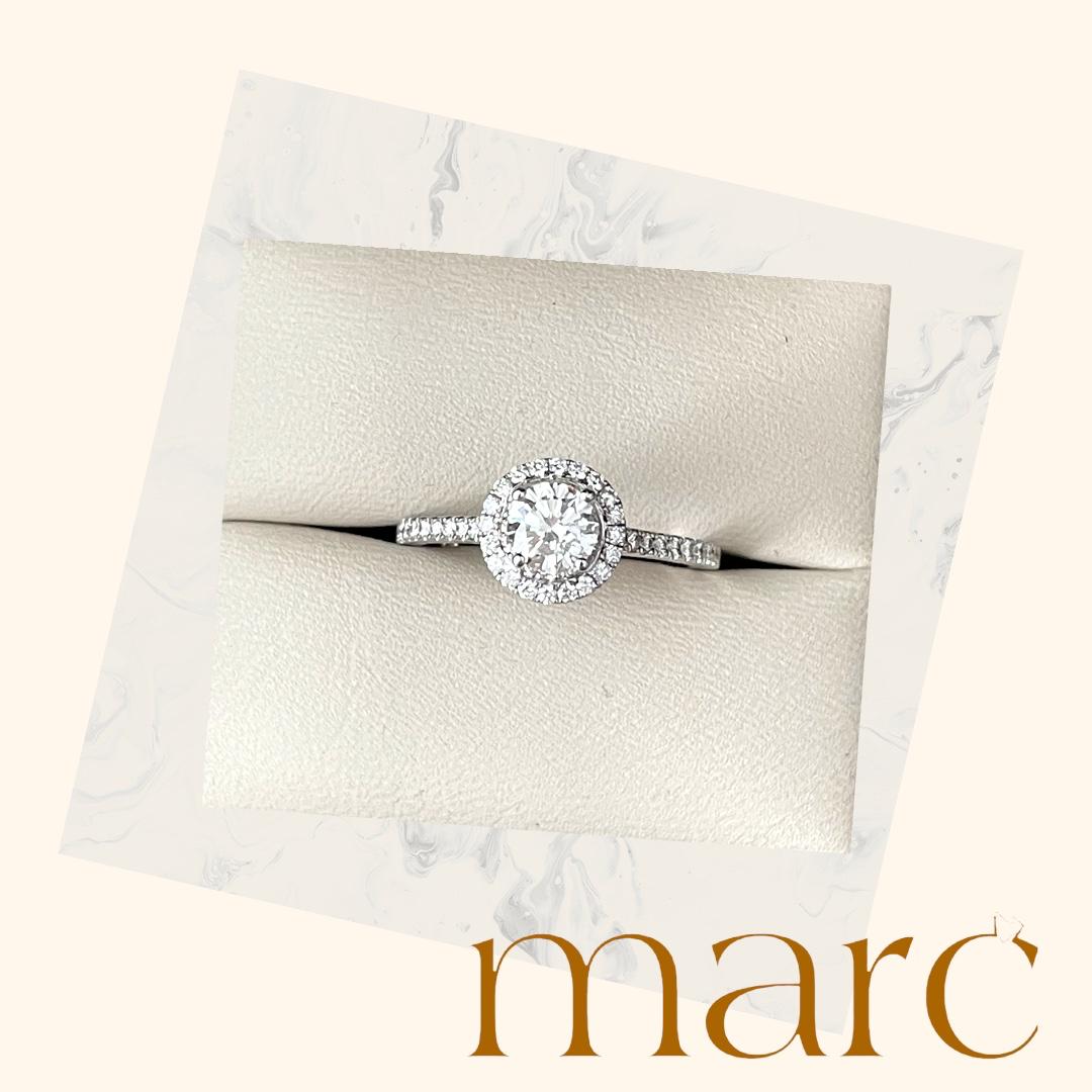 WhatsApp Image 2026-02-23 at 2.48.55 PM (2)